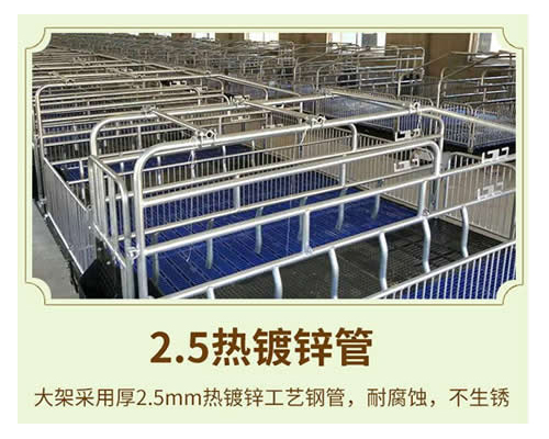 购买母猪产床如何选择钢管?