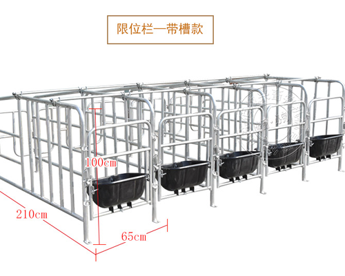 国标母猪限位栏使用年限及价格介绍