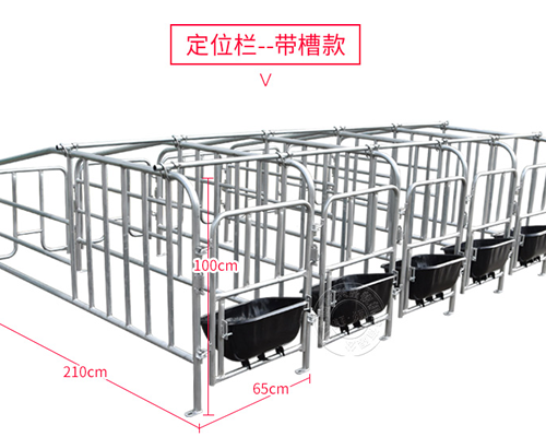 国标母猪限位栏的尺寸介绍