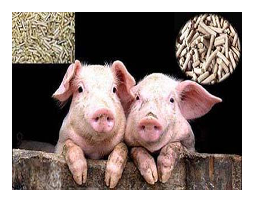 “禁抗令”实施,饲料生产企业和养殖户准备好了吗?