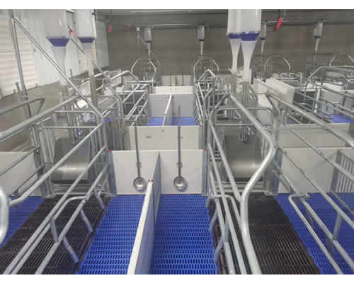 母猪产床的尺寸和作用介绍