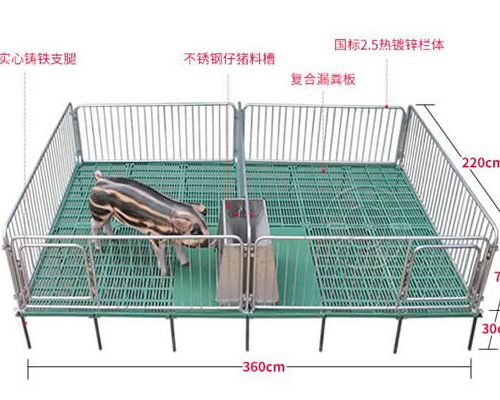 仔猪保育床的尺寸及图片介绍