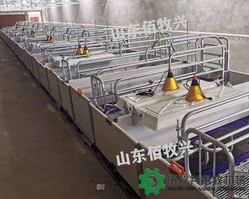 欧式母猪产床的配置及尺寸介绍