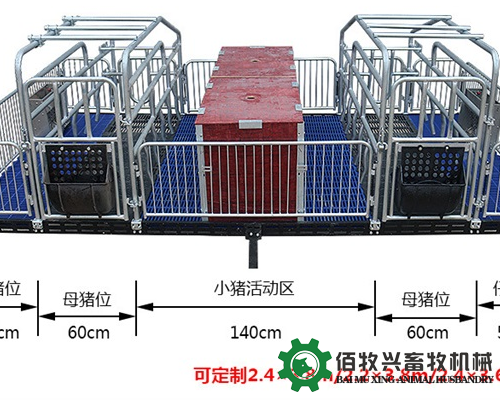 使用母猪产床可以提高小猪的成活率吗?