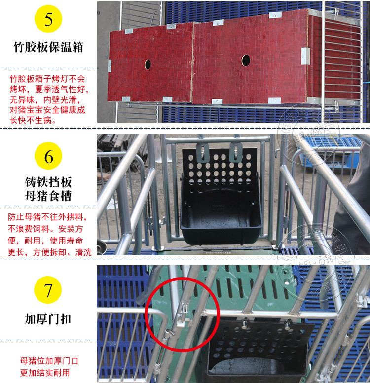 国标母猪产床