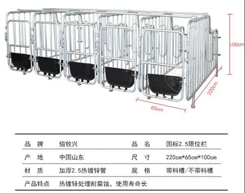 母猪限位栏尺寸
