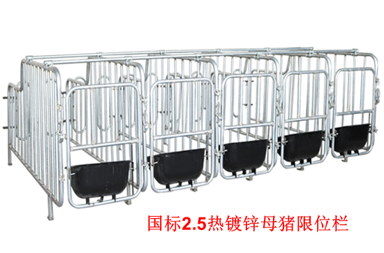 母猪限位栏