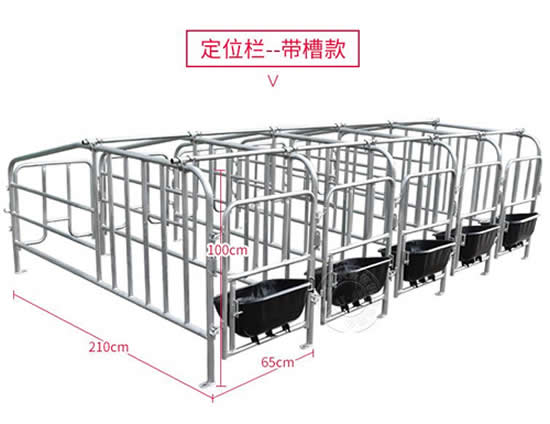 母猪限位栏
