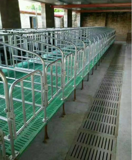 母猪限位栏