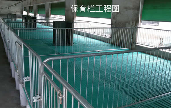 复合保育床