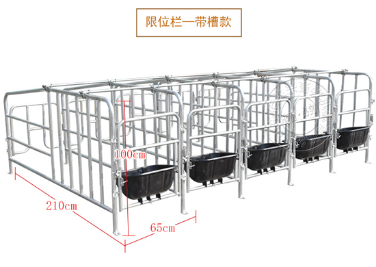 母猪限位栏