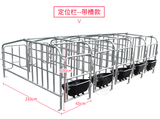 母猪限位栏尺寸