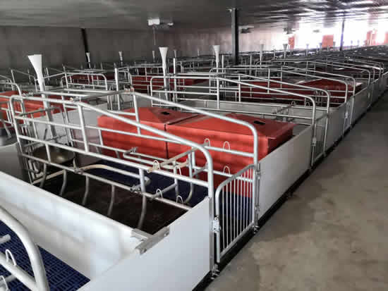 铸铁母猪产床图片