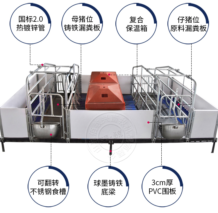 母猪产床图片