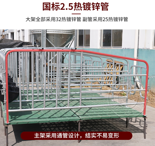 母猪限位栏