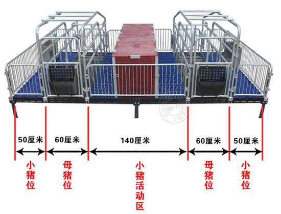 双体母猪产床