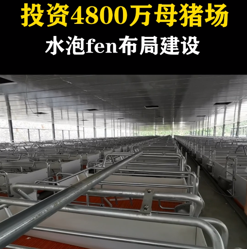 2400头母猪场水泡粪布局建设