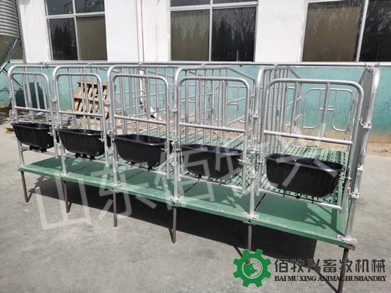 母猪定位栏安装图片