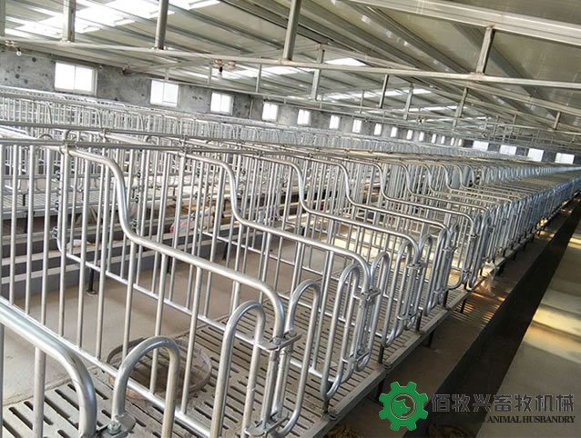 母猪定位栏安装图片