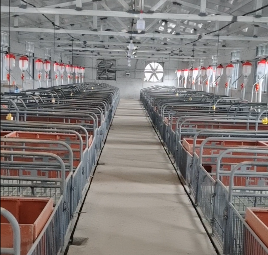 重庆城口县自繁自养场1