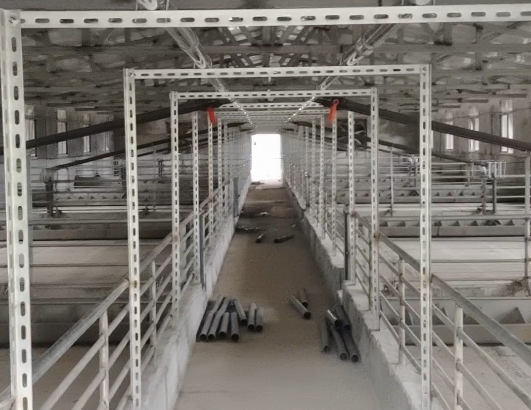 自繁自养场改粥料饲喂